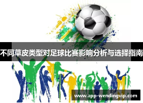 不同草皮类型对足球比赛影响分析与选择指南