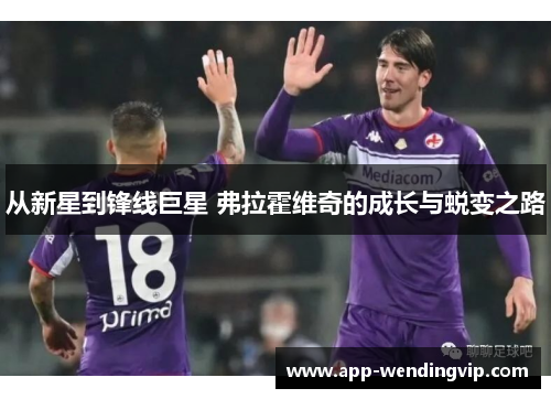 从新星到锋线巨星 弗拉霍维奇的成长与蜕变之路