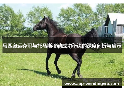 马匹奥运夺冠与托马斯穆勒成功秘诀的深度剖析与启示