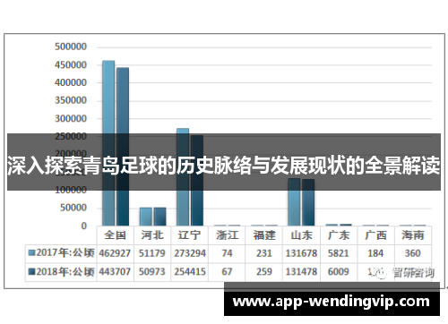 深入探索青岛足球的历史脉络与发展现状的全景解读